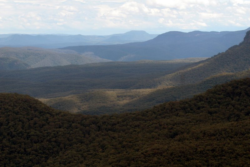 The Kings Plateau