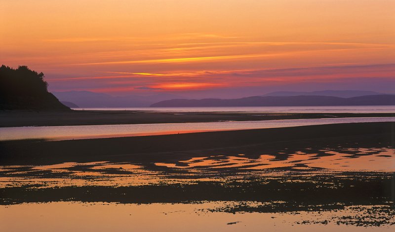 Findhorn Tangerine.