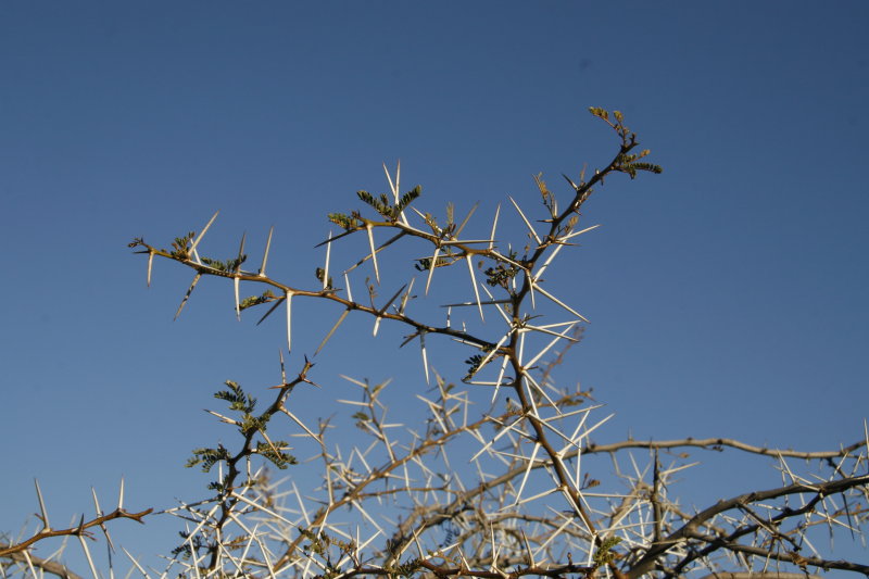 EPV0071.JPG