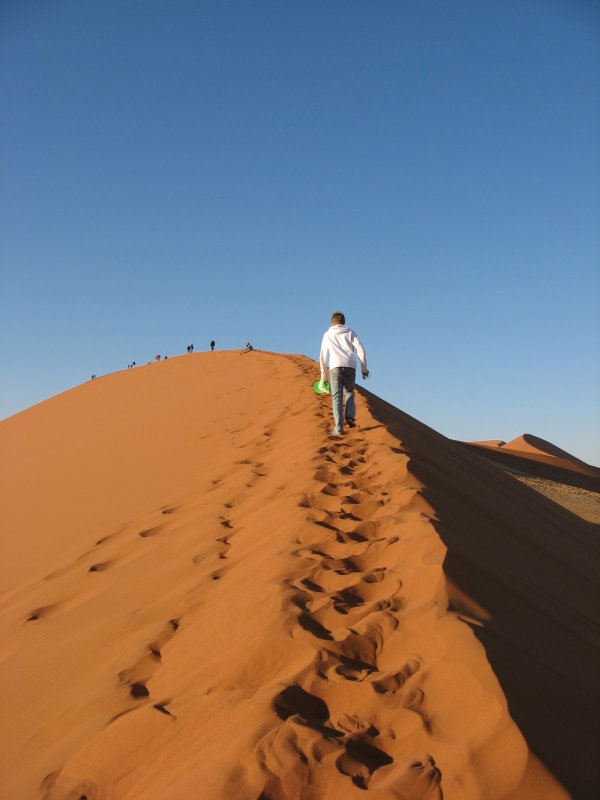 Dune 45
