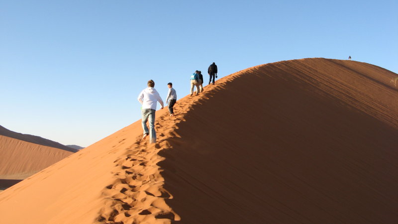 Dune 45