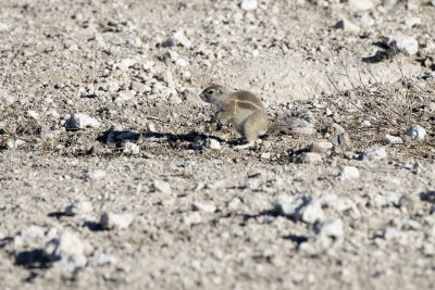 _MG_5332.jpg