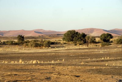 Namib Vista