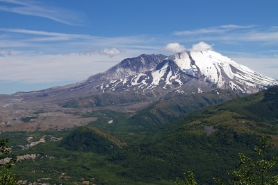 IMG_8176.jpg