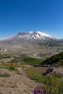 IMG_8284.jpg