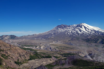 IMG_8318.jpg