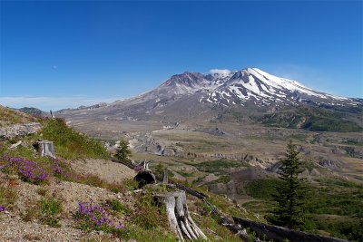 IMG_8401.jpg