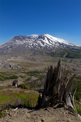IMG_8407.jpg