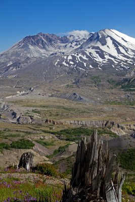 IMG_8414.jpg