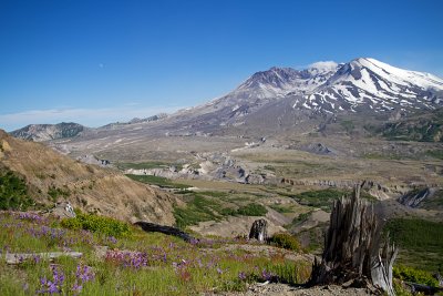 IMG_8416.jpg