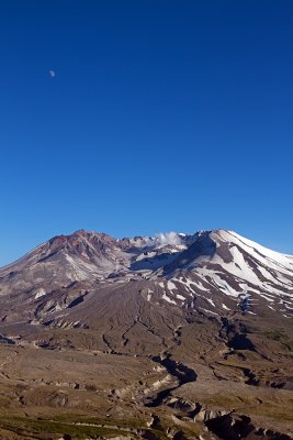 IMG_8510.jpg