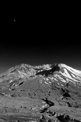 IMG_8510_BW.jpg