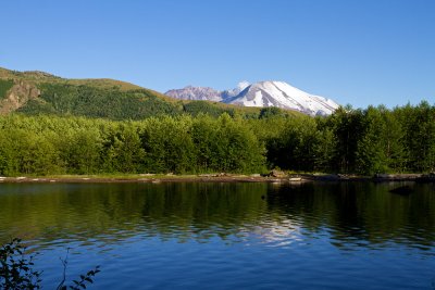IMG_8534.jpg