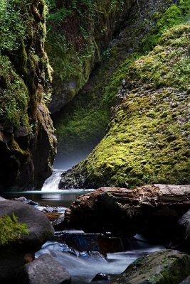 IMG_8722.jpg