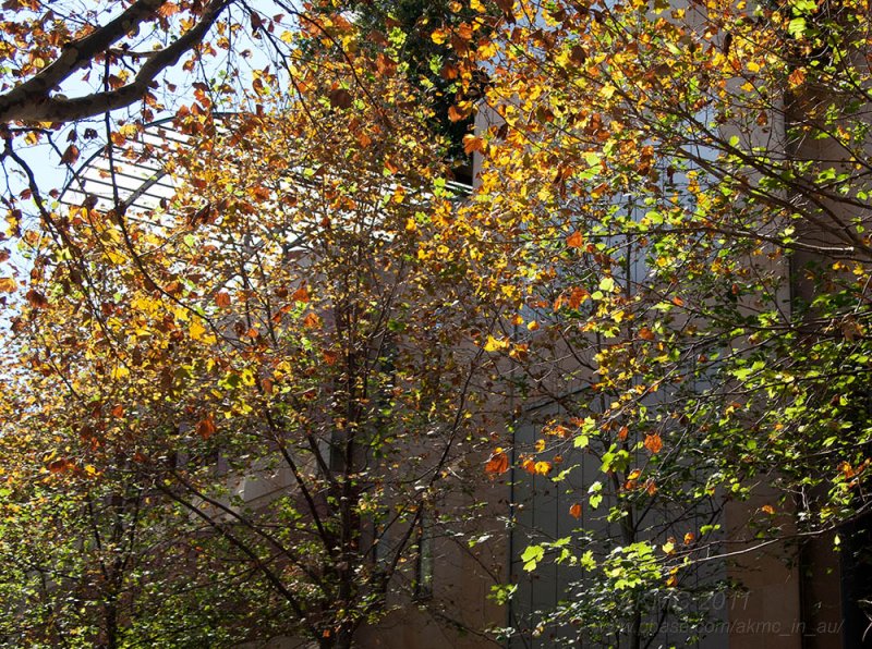 110421_125209_4214500 Turning (Thu 21 Apr)