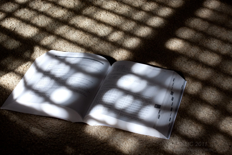 110508_135646_17630 Some Afternoon Light Reading (Sun 08 May)