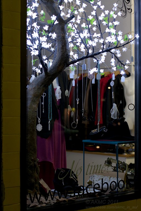 110521_061648_17868 The Lit Petals In The Window (Sat 21 May)
