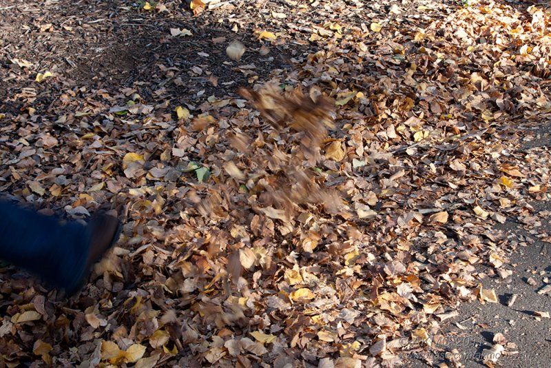 18134 09:13 Day 2 - Kicking The Leaves