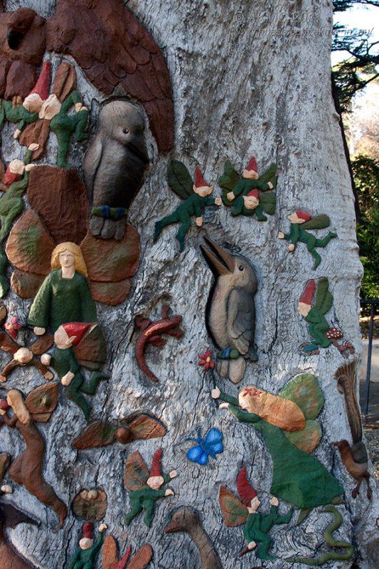 18158 09:28 Day 2 - The Fairies Tree II