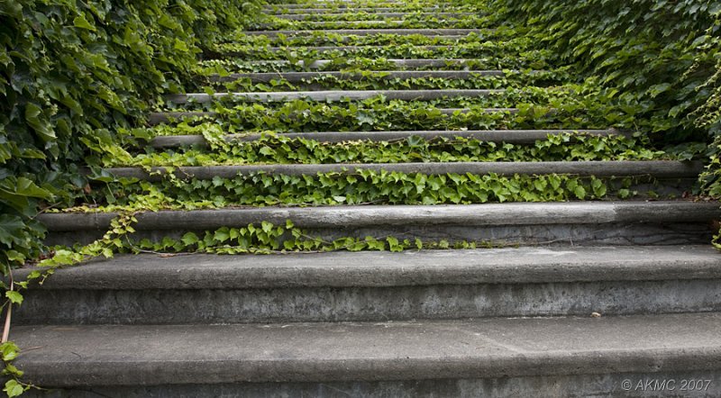 68_2637 Green Steps