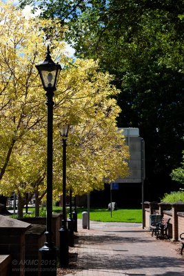 20120309_22046 Autumn, Mittagong (Fri 09 Mar)