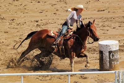 C30F6762Stampede.jpg