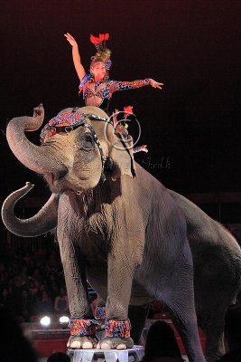 Royal Canadian Circus - May 2011