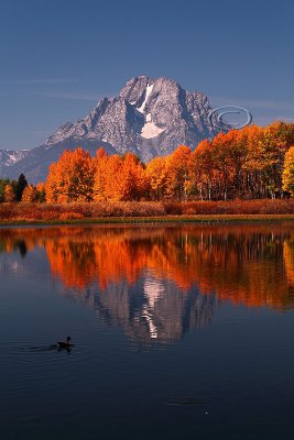 _MG_4328Oxbow .jpg