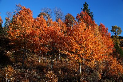 _MG_4229Tetons Colours.jpg
