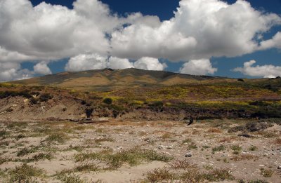 Jalama Beach