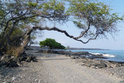 Between Anaeho'omalu and Kiholo Bays