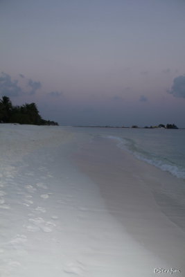 _MG_1816.JPG