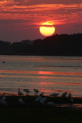 sunrise.jpg