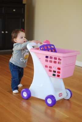 Emily's New Shopping Cart