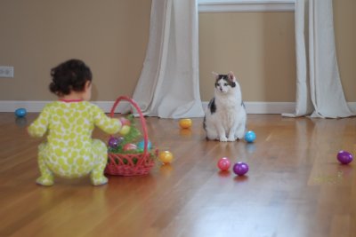 Easter Morning Egg Hunt