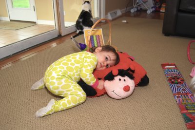 New Lady Bug Pillow