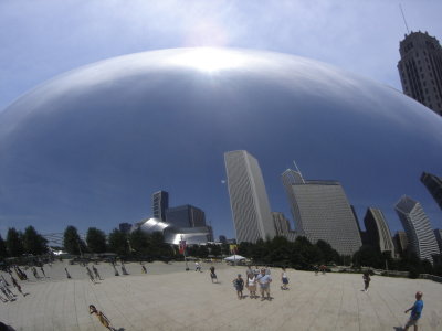 Reflections of The Bean