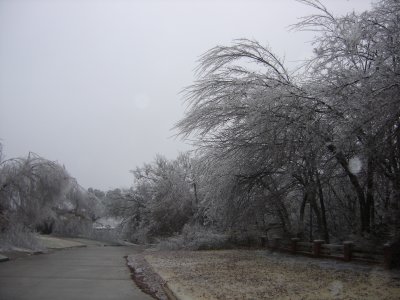 Ice Covered Street Path
