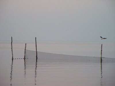 g4/02/828302/3/92131012.3OxQDd8N.jpg