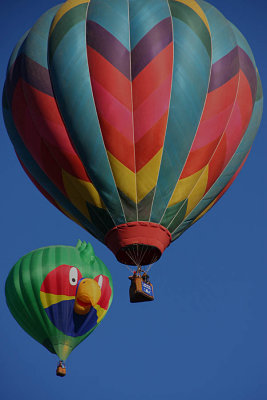ICR2011_COSB9282_BALNPAROT1PB.jpg