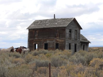 An old homestead