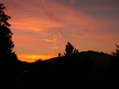 A New Morning