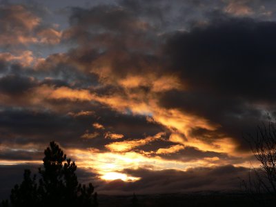 Morning Glory!