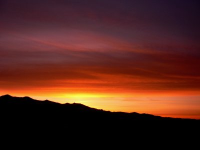 Sailor's Delight!