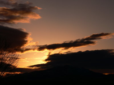 A Nice Day Begins!