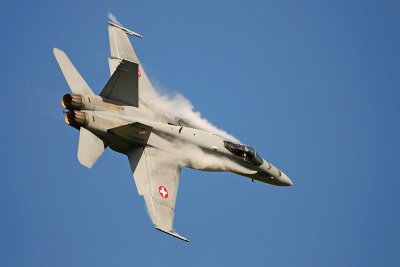 Zwitserse Hornet