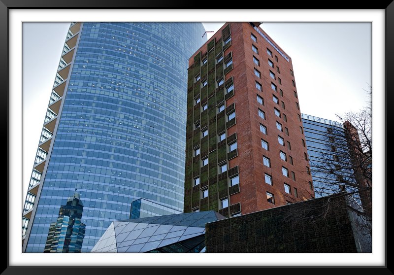 Hotel de Pasto Cubierto en Titanium