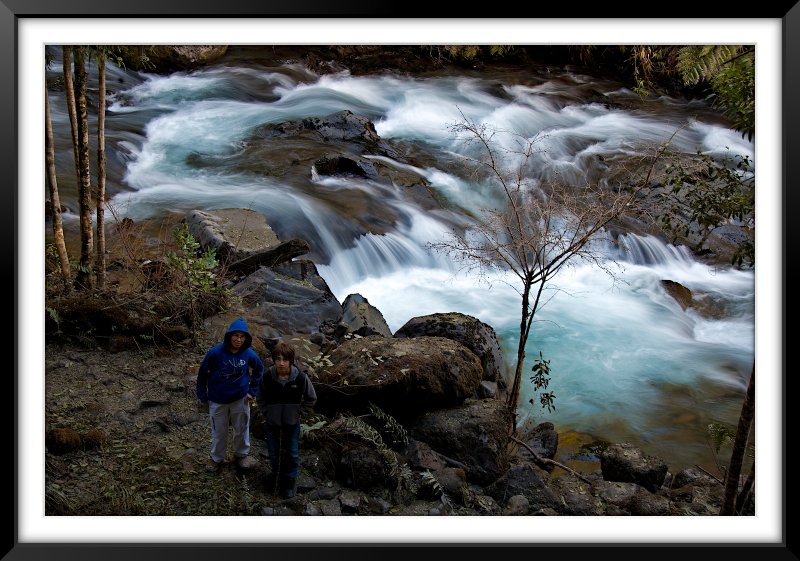 Paseo Parque Nacional Puyehue (Anticura)