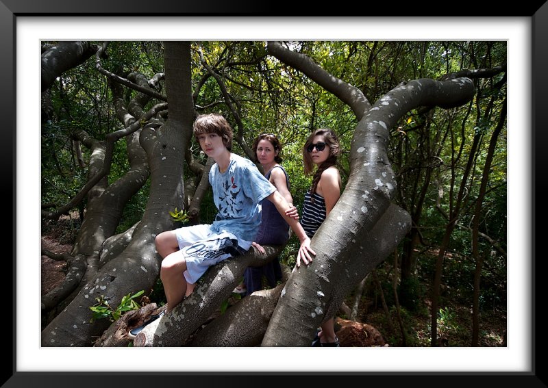 Kirstenbosch Gardens
