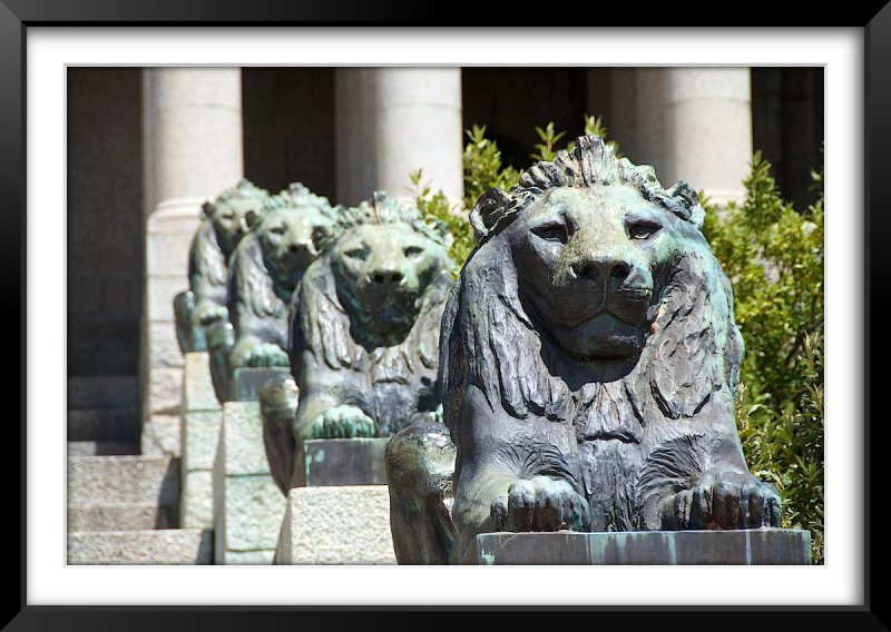 Rhodes Lions